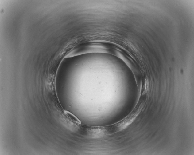 X0000086780237200704131222