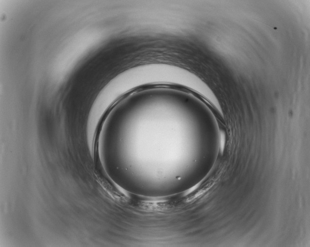 X0000086780239200704131222