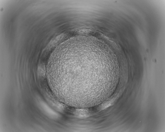 X0000086780240200704131222