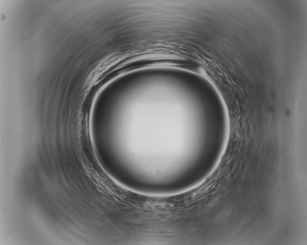 X0000086780242200704131221