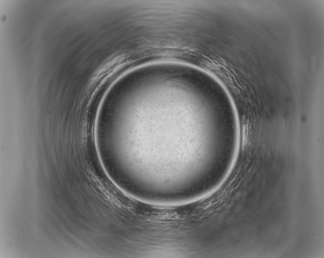 X0000086780243200704131221