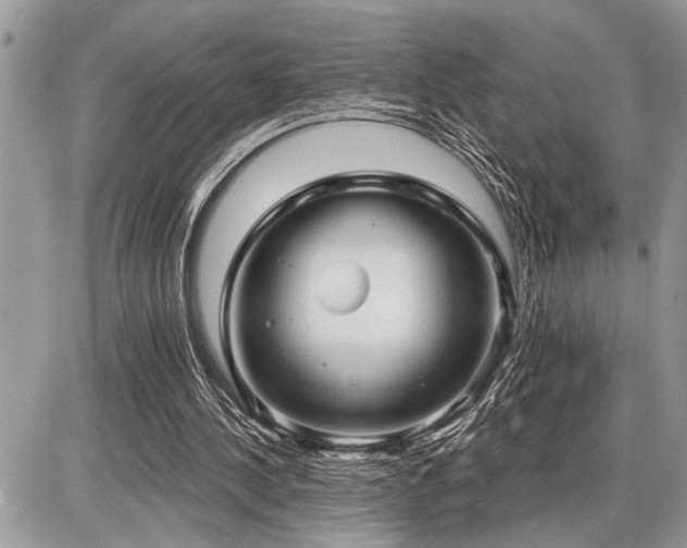 X0000086780244200704131221