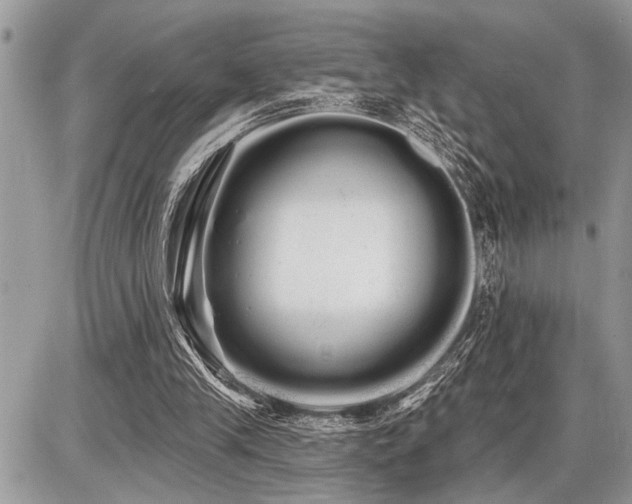 X0000086780245200704131221