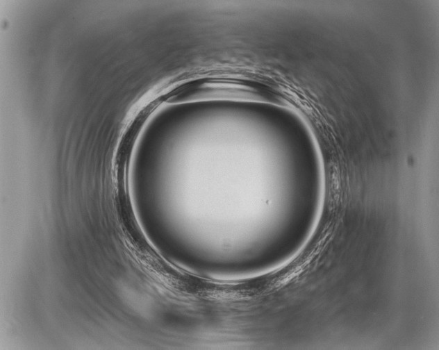 X0000086780246200704131221