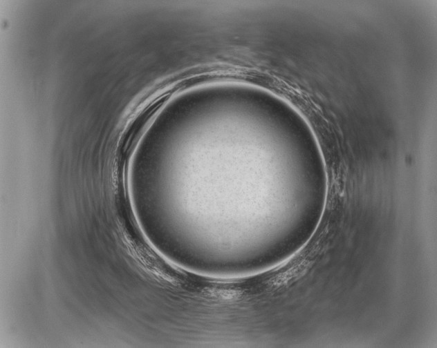 X0000086780247200704131221