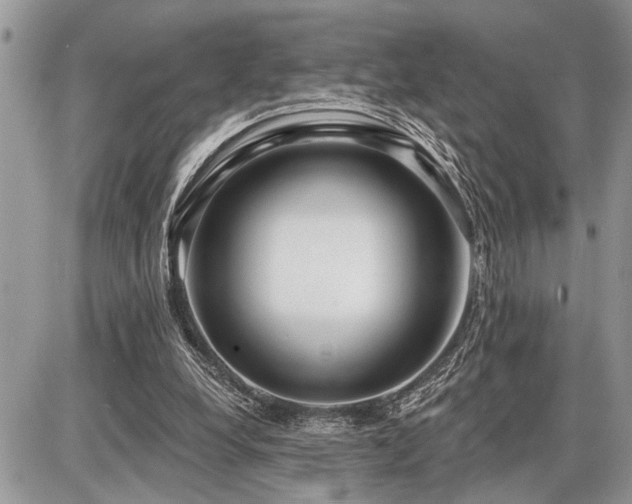 X0000086780248200704131221