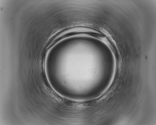 X0000086780249200704131221