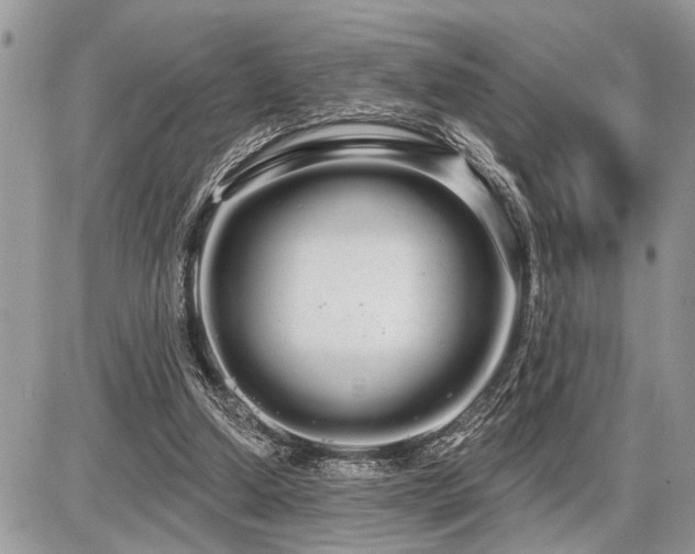 X0000086780250200704131221