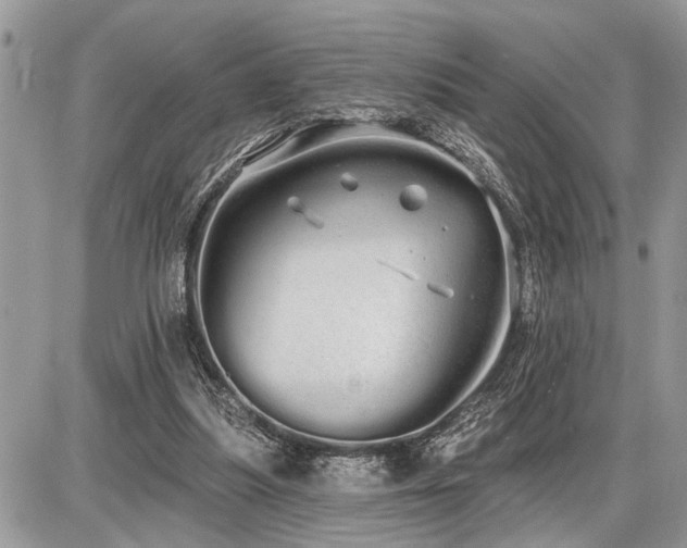 X0000086780251200704131221