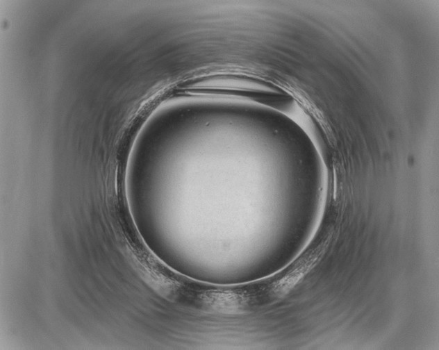 X0000086780253200704131222