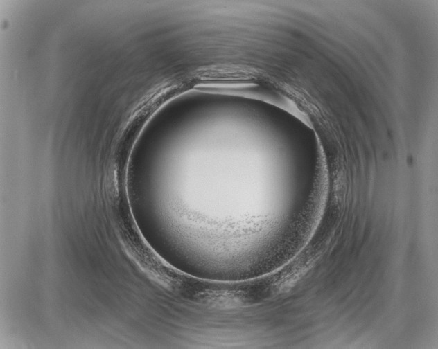 X0000086780254200704131222