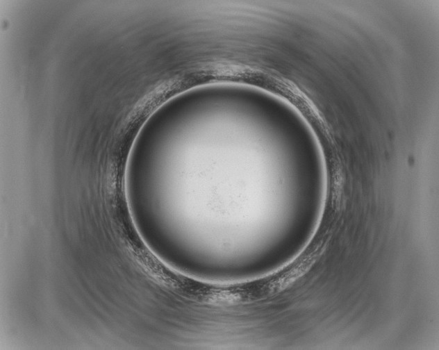 X0000086780257200704131222