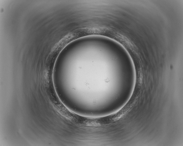 X0000086780258200704131222