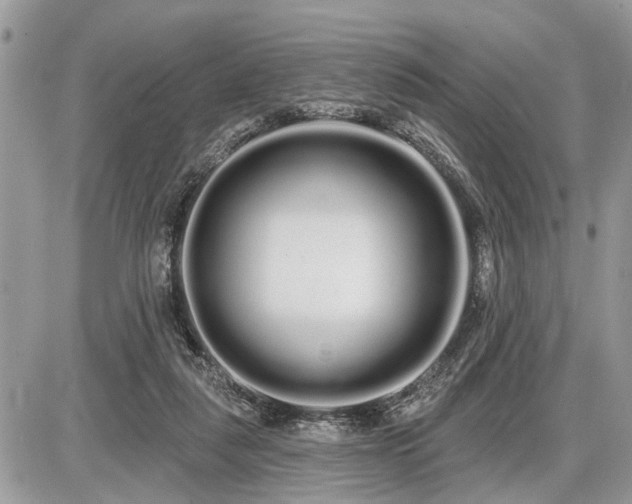 X0000086780259200704131222