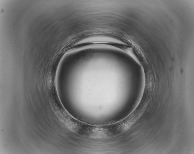 X0000086780261200704131222