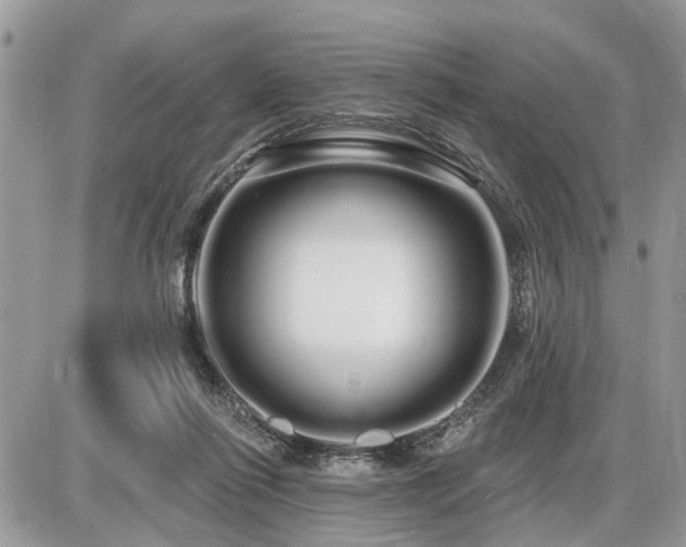 X0000086780262200704131222