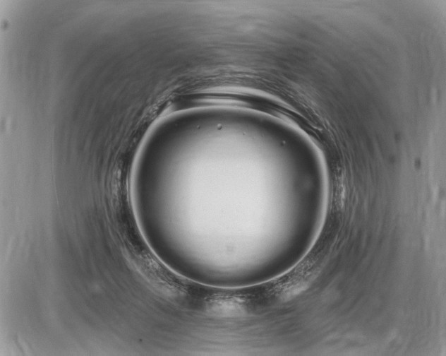 X0000086780263200704131222