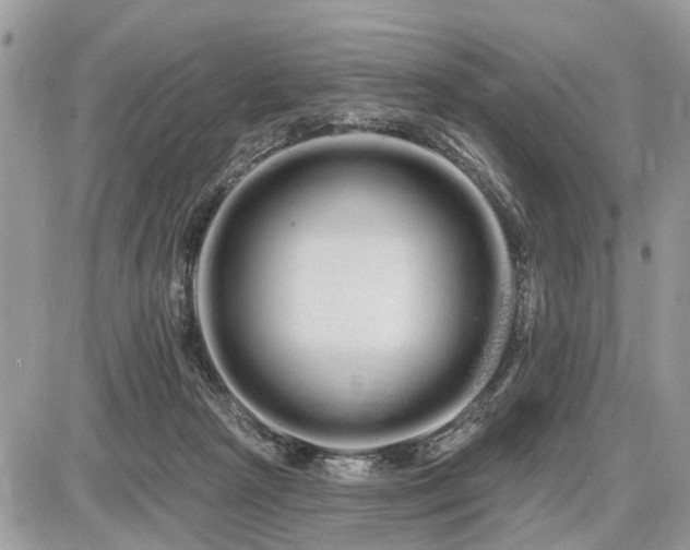 X0000086780265200704131222