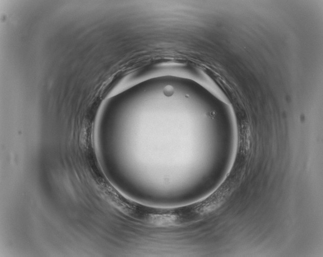 X0000086780266200704131222