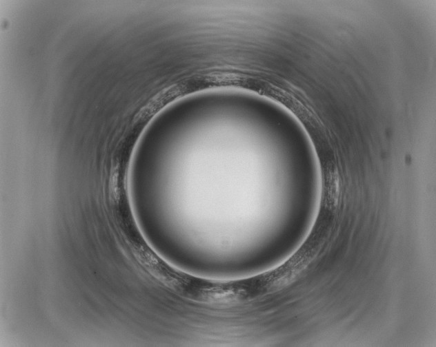 X0000086780267200704131222