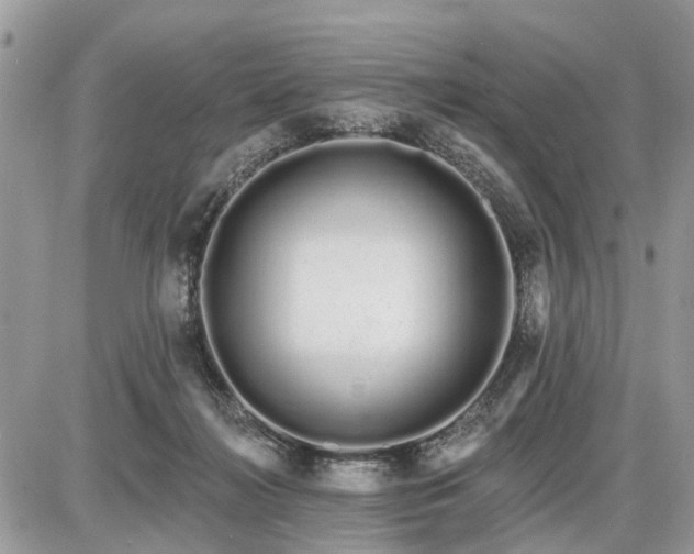 X0000086780268200704131222