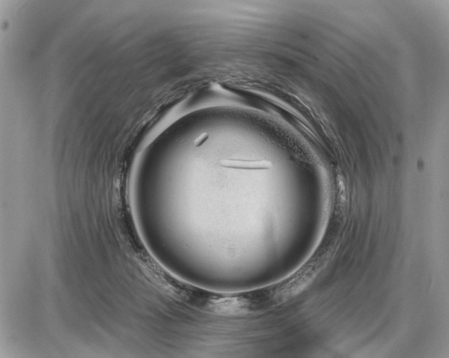 X0000086780269200704131222