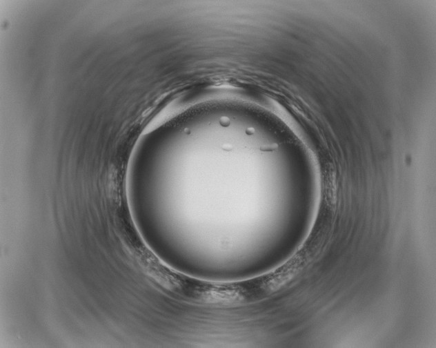 X0000086780270200704131222