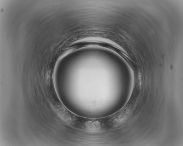 X0000086780271200704131222