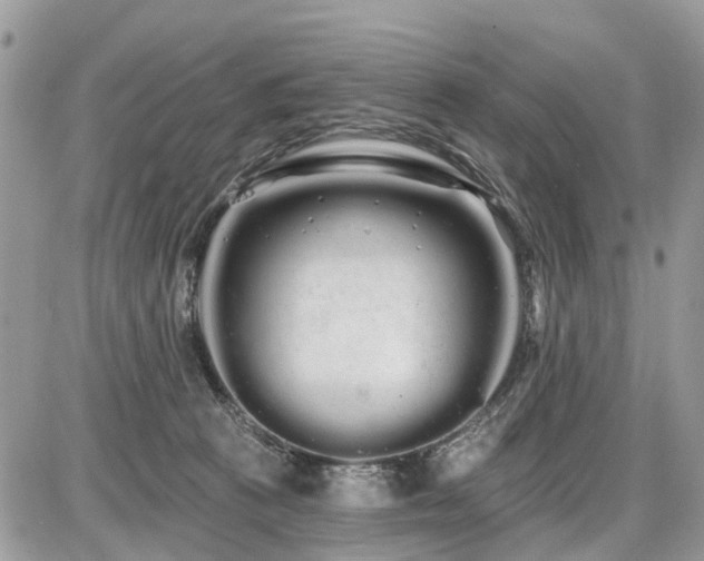 X0000086780273200704131222