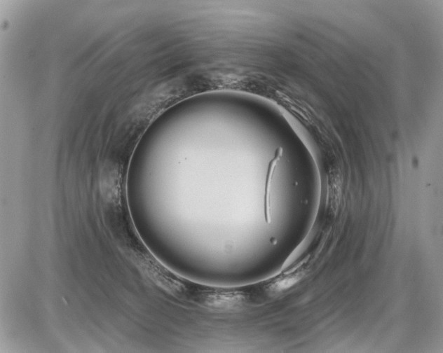 X0000086780274200704131222