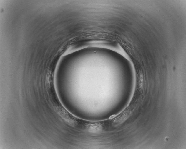 X0000086780275200704131222