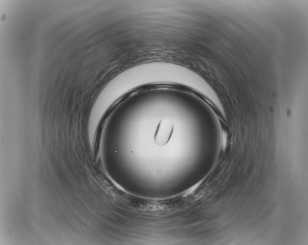 X0000086780276200704131222