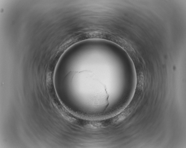 X0000086780278200704131222