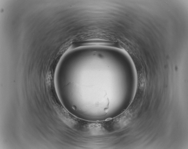 X0000086780279200704131222