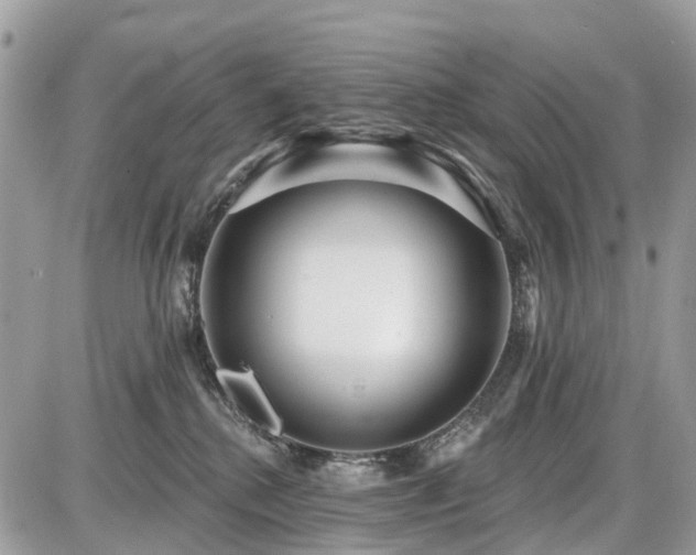 X0000086780280200704131222