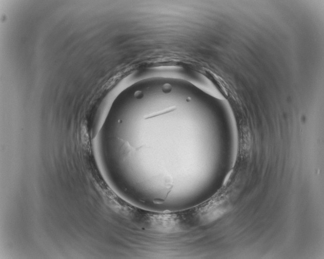 X0000086780281200704131222