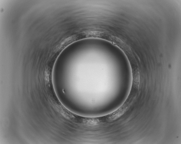 X0000086780282200704131222