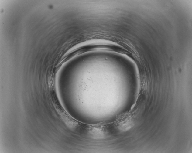 X0000086780285200704131222