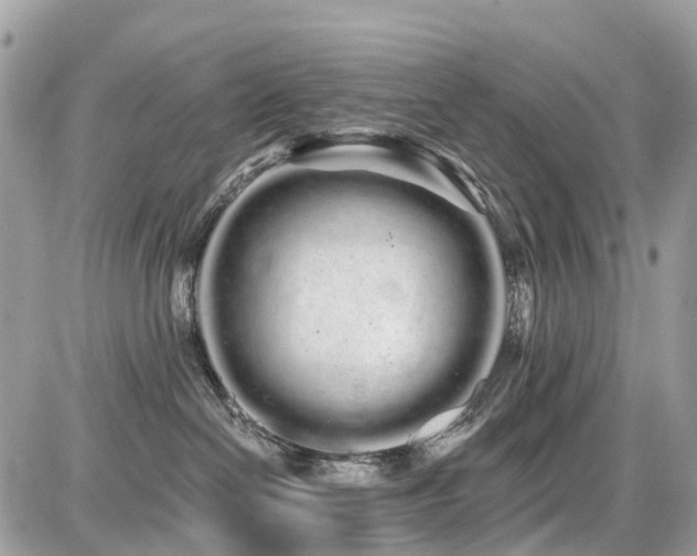 X0000086780286200704131222