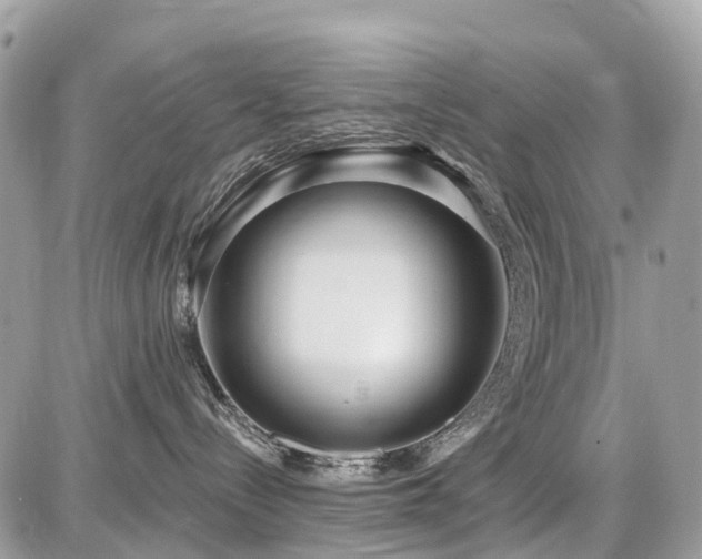 X0000086780288200704131222