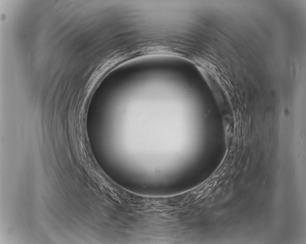 X0000086780289200704131221