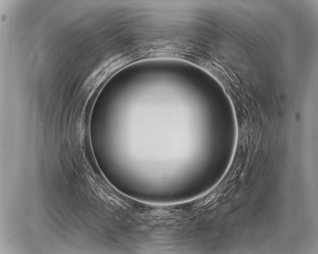 X0000086780290200704131221