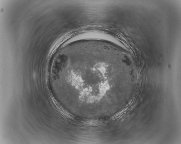 X0000086780293200704131221