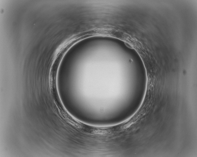 X0000086780294200704131221