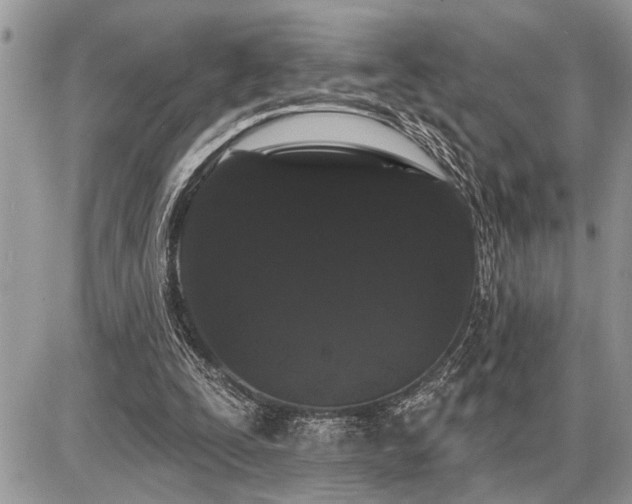 X0000086780295200704131221