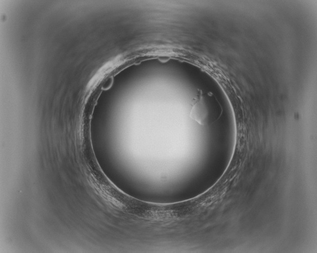 X0000086780296200704131221