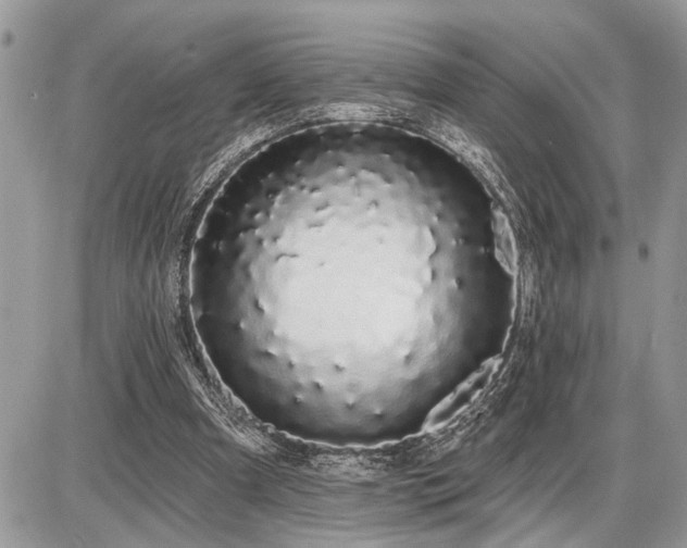 X0000086780297200704131221