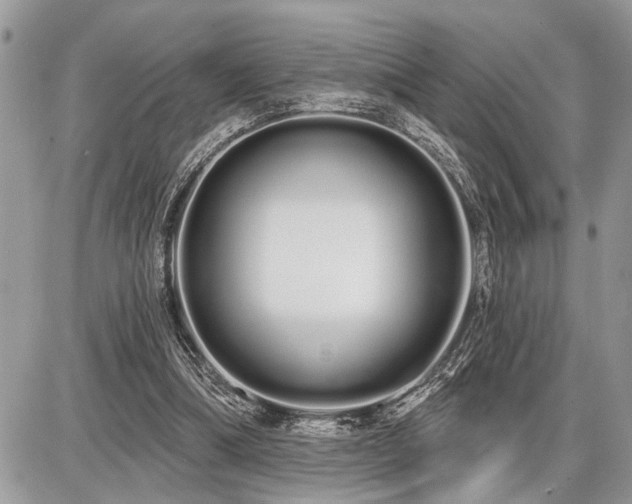 X0000086780298200704131221