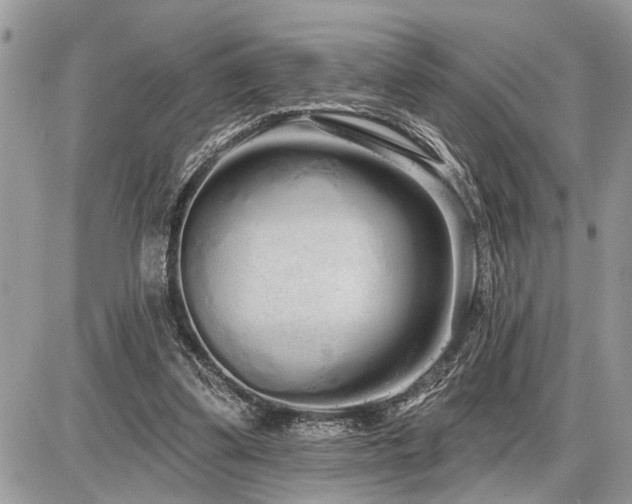 X0000086780299200704131221