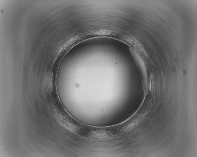 X0000086780300200704131221